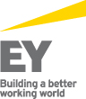 Ernst & Young Management Consulting GmbH Logo