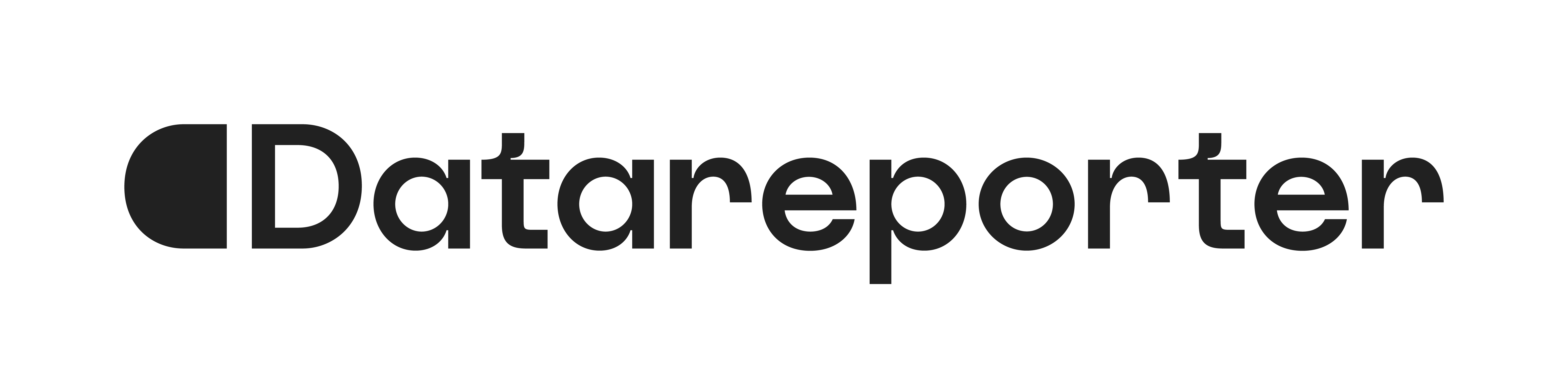 DataReporter GmbH Logo